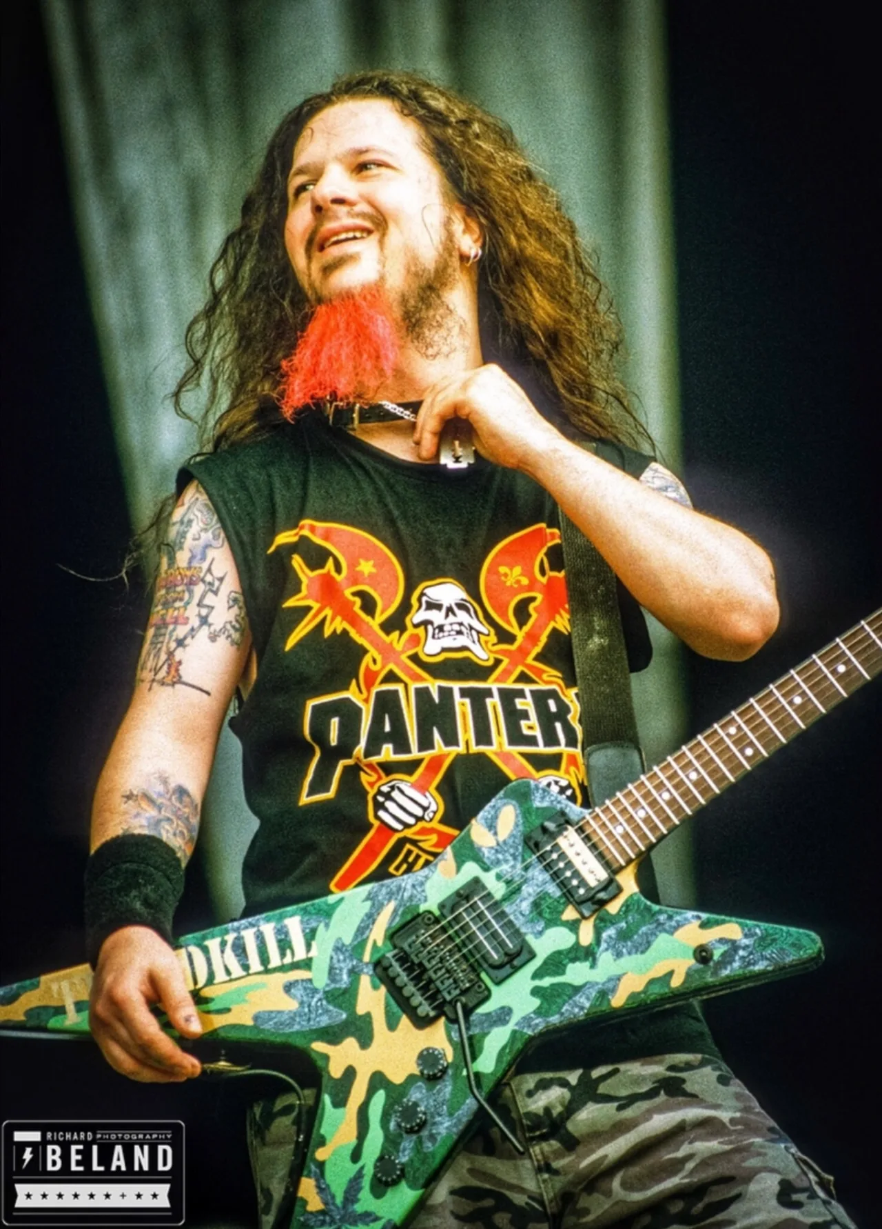 Pantera ao vivo